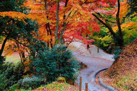 二本松市